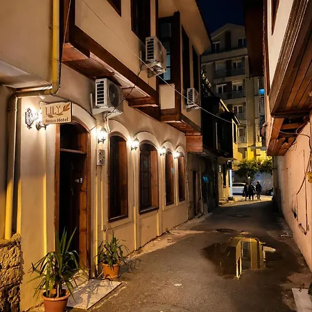 Lily Town Hostel