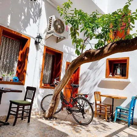 Lily Town Hostel *