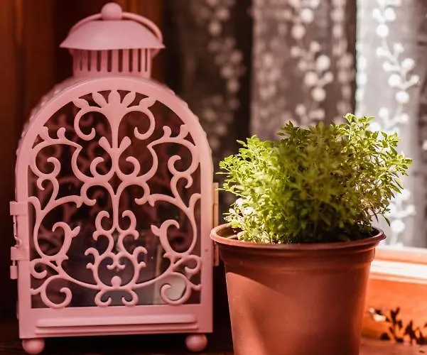 Lily Town אכסניה