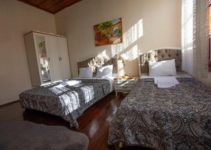 אכסניה Lily Town *