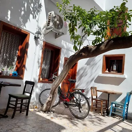 Hostel Lily Town *