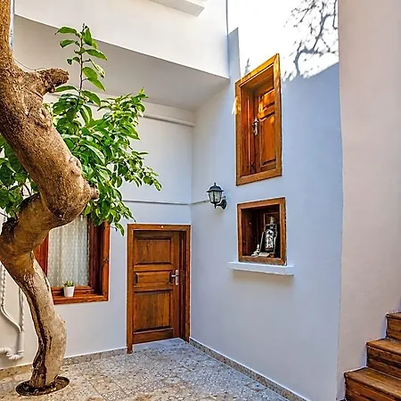 Lily Town אכסניה