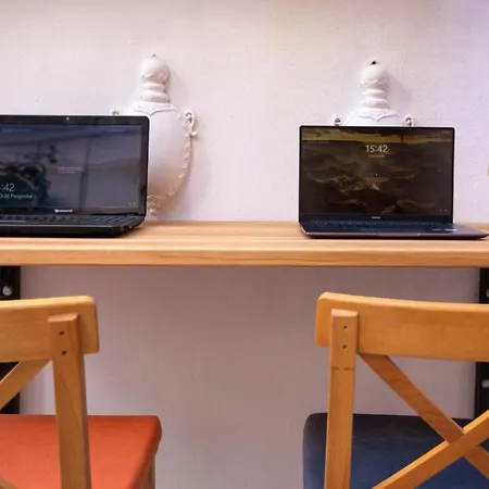 بيت شباب Lily Town