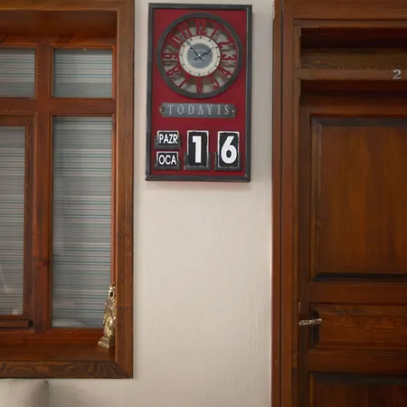 Lily Town بيت شباب